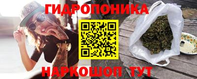 прущие грибы Конаково