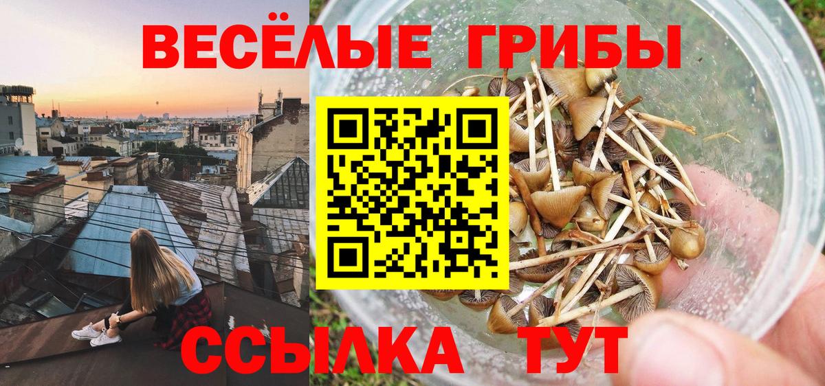 Галлюциногенные грибы GOLDEN TEACHER Коряжма